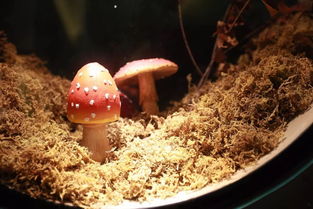 市委書記赴浙江考察 5天走訪5市,宜昌代表團學到了什么好經驗